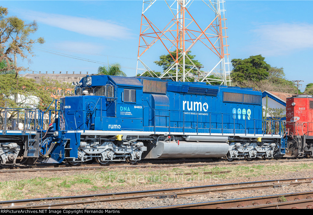 RUMO 9463 DNA paint scheme